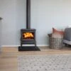 Jotul F100 ECO.2 LL SE -Heating Equipment Store F 100 Eco LL SE BP int 1 1600pix 1024x676 1